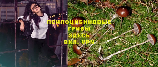 соль курить ск Аркадак